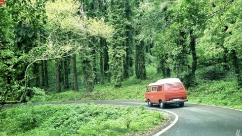 Cherry – Volkswagen Westfalia T3 Combi