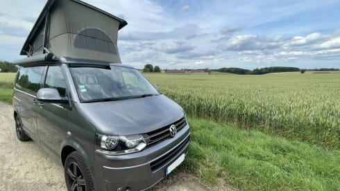 Calif – LIEFERWAGEN VW Kalifornien