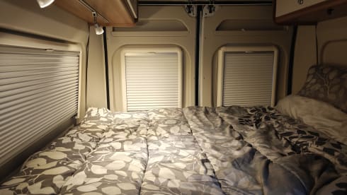 Duc – Beautiful light 2p Fiat bus from 2019