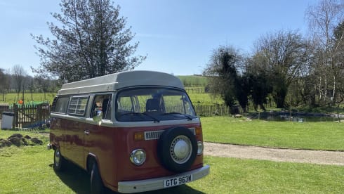 Roses – Vintage Devon 4 berth Volkswagen Camper 1981 - Relaxing Camping Classic 