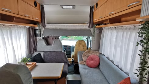 Bob – Ihr Roadtrip-Partner in der Kriminalität | 6m, 2-4 Pers. | auch für das lange Reisemobil