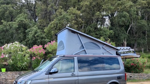 Déesse – VWCalifornia Ocean