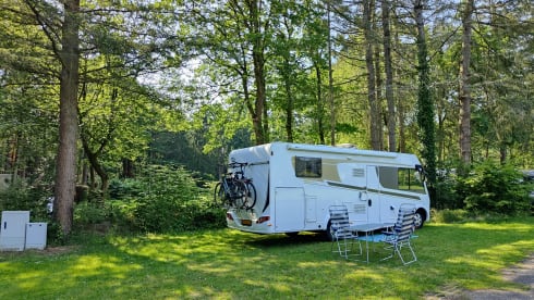 4p Carado I447 Goldline integraal uit 2018