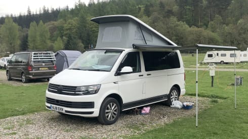 Petunia – Petunia the Campervan