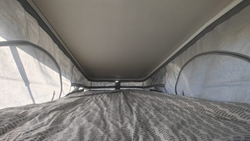 Vinny – 4-sitziger Fiat-Bus ab 2025