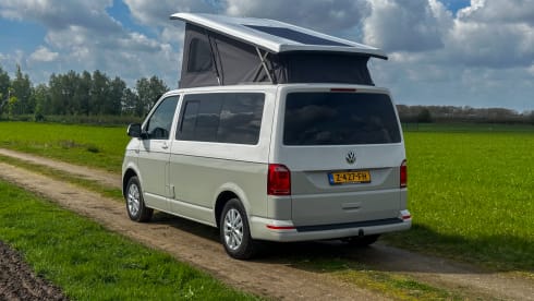 Luxury 5 person Volkswagen Camper