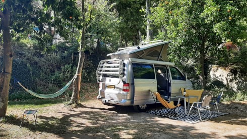 Maxie – 4p Volkswagen California T5