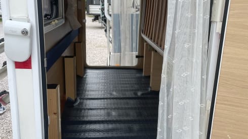 Flora madaluno – Fabiograsso2018@gmail.com