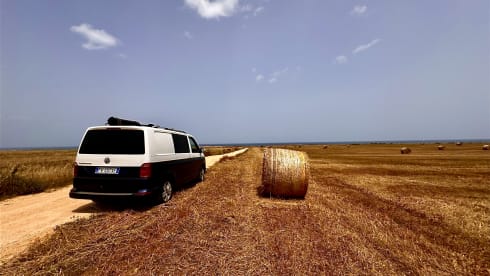 Vulamdander Van Adventure – Volkswagen T6 Adventure