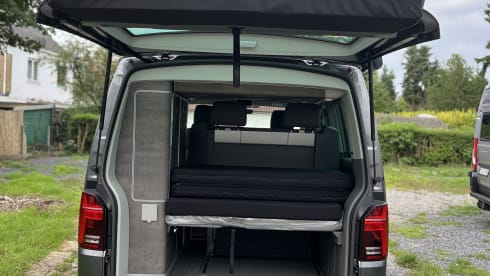 Blue – Iconic VW California Ocean 2024