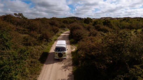 Summer – Wilde Wegen Liefde - Terug naar 1978