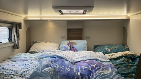 6 berth Fiat alcove from 2020