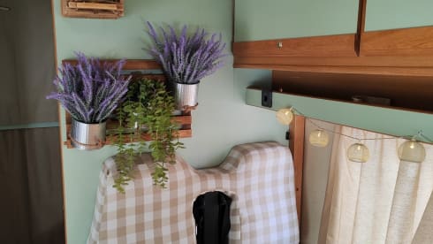 India  – Camper mansardato Miller Illinois con aria condizionata