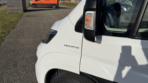 Chausson – 2p Fiat bus from 2019