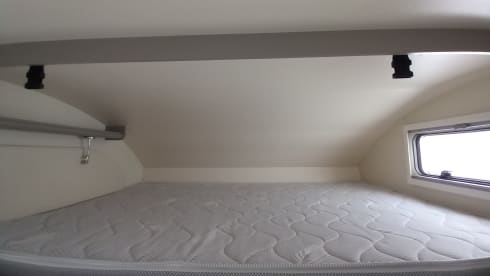 Raumwunder  – Maple Canada AD