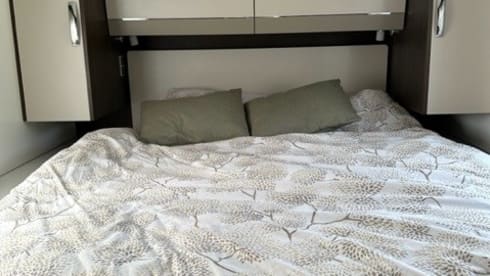 Benimar Cocoon 497 BJ 2022