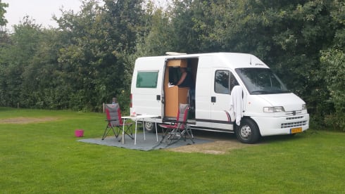 Cozy compact camper where pets are allowed