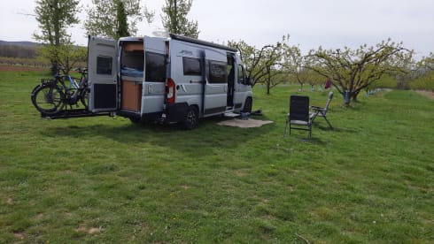 2 + 1 Pössl bus camper from 2018