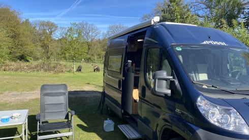 Posseltje – 2+1 pers. Pössl road camper 5.40 m uit 2013