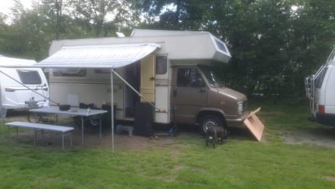 Omdat later eerder kwam – Experience an affordable camper experience