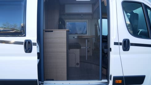 4-person Carado bus from 2020