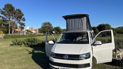 Quicksilver  – White VW T6 Four Berth.