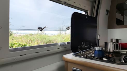  Swan – Nuovo Bravia 636 Swan