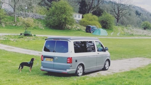 Ivy – Pet friendly VW campervan - MK13 Milton Keynes