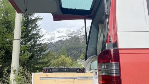 Twinkie – ✨On an adventure in a van✨