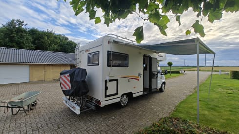Fiat alcove 4 person camper