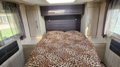 Zweisitziger Fiat Alcove aus dem Jahr 2010