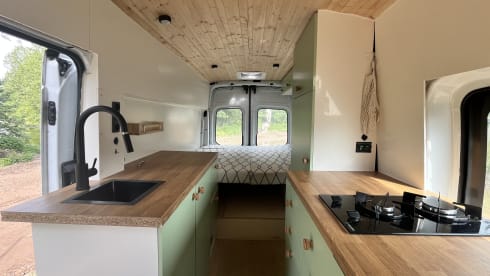 Poppy – Ford Campervan (2019) 2p + huisdier