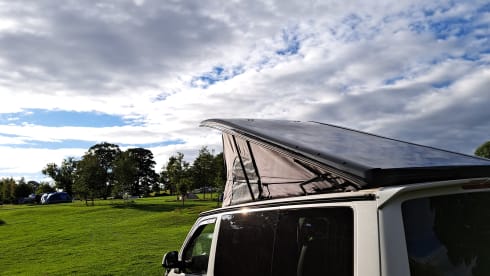 Transporter-Saurus-Rex – Transporter-Saurus-Rex... a 4 berth Volkswagen campervan from 2010