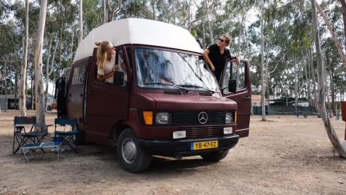 Bokito (Burgau, Lagos, Algarve, Portugal)