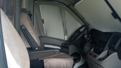 Roller team granduca