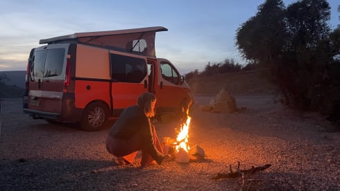 Vicky  – Campervan Opel Vivaro from 2010