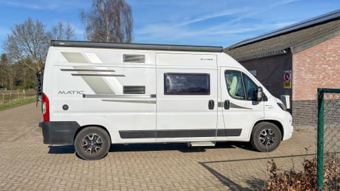 Witte Vlegel – Mclouis Menfys Matic 