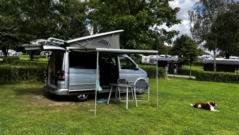 Plan B – 4p Volkswagen California