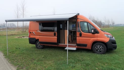 Oranje Boven – Pössl Camperbus 2 Win R Plus from 2019 with 163 HP and Euro6