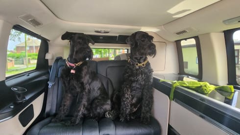 The "MP" – 4 berth 2021 Mercedes-Benz Marco Polo