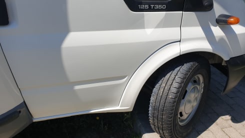 Signor Spock – It all starts here