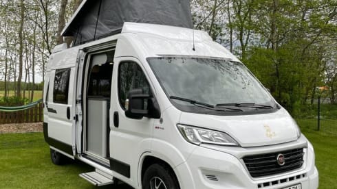 Der echte Norden – bunk31