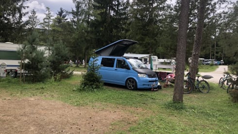 Bluebell – VW T5 pop top 4 posti letto.