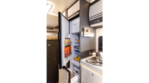 Boas – Boas wants to go on an adventure with you (max 4 adults)!