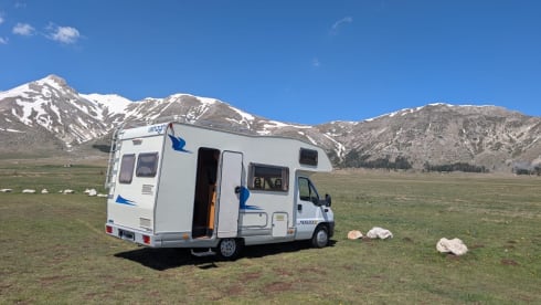 MARLIN – Viaggia con MARLIN!