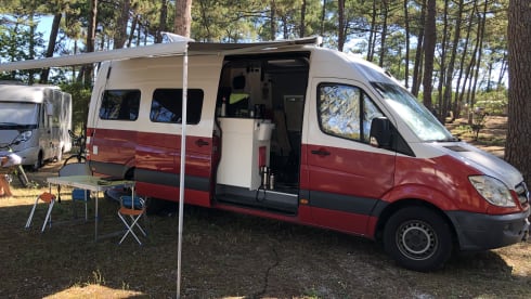Mr. Polska – Ruime camperbus met alle gemakken