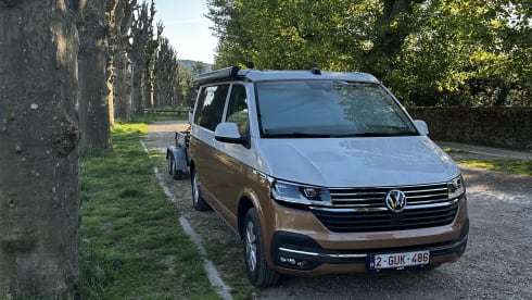 VW California T6.1 Ocean