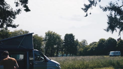 the.VANhoutte – 4p Volkswagen bus from 2019
