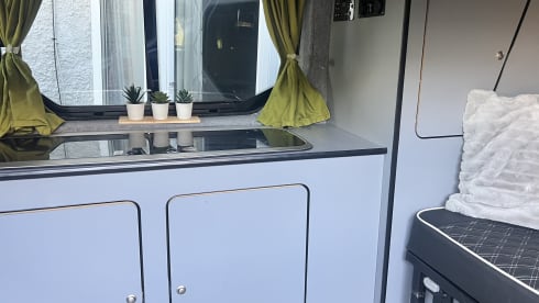 Gino D'Campo – Meet Gino D'Campo, a cosy 2 berth Vauxhall Vivaro Campervan from 2006