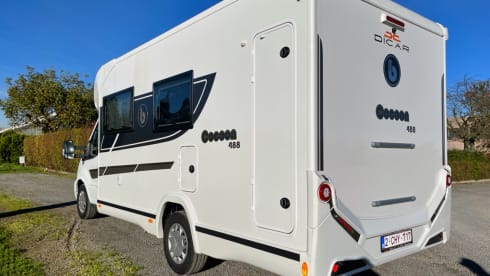 Chihuahua on the road – 2p Benimar semi-integrated from 2022